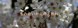 もみ合いからの上放れ もみ合いからの上放れ
